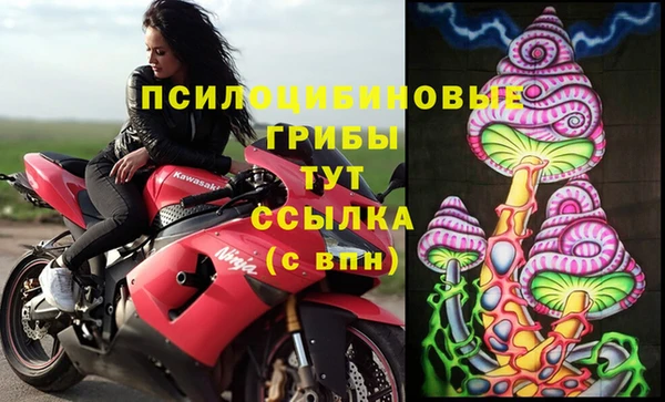соль ск Алексеевка