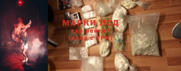 индика Алексин