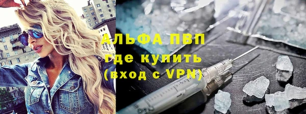 индика Алексин