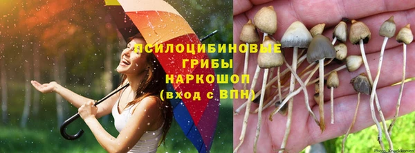 гашишное масло Алзамай