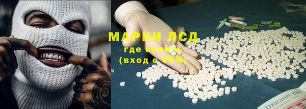 индика Алексин